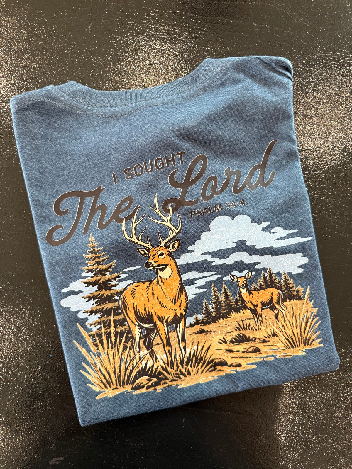 I Sought The Lord